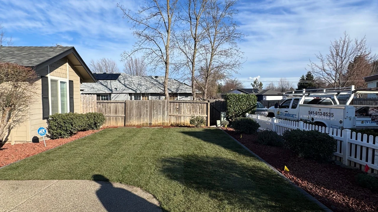 Residential front yard with a freshly installed green lawn, concrete walkway, red rock mulch beds, shrubs, a wooden fence, and a service truck parked along a white picket fence under a blue sky.