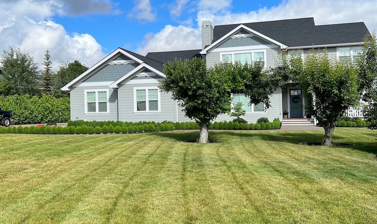 Large striped front with two leafy trees and a large beige house in the background
