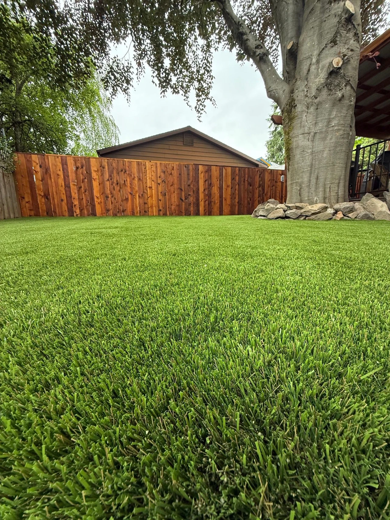 Artificial turf lawn with a fence and tree in the background