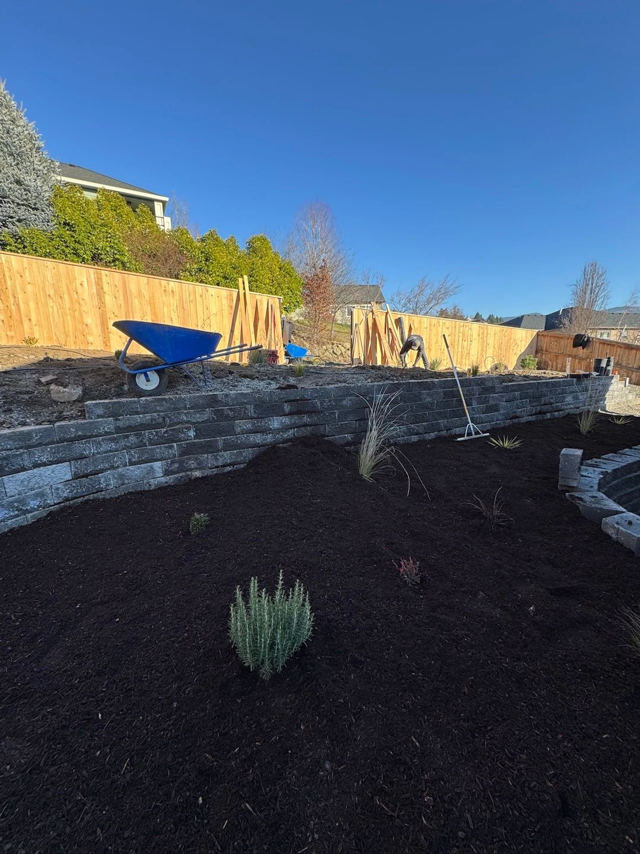 Large earthy garden on a terraced landscape with retaining walls