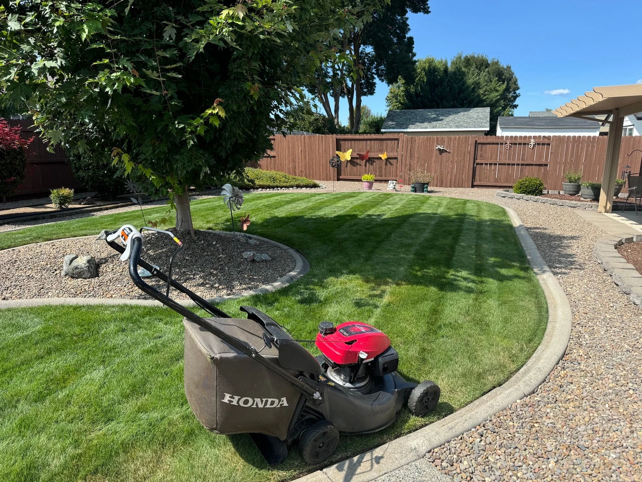 large front yard with a lawn mower on display and tree in the background