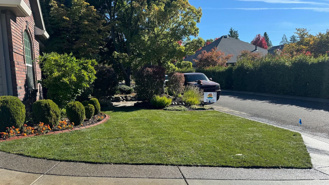 front lawn that is recently mowed