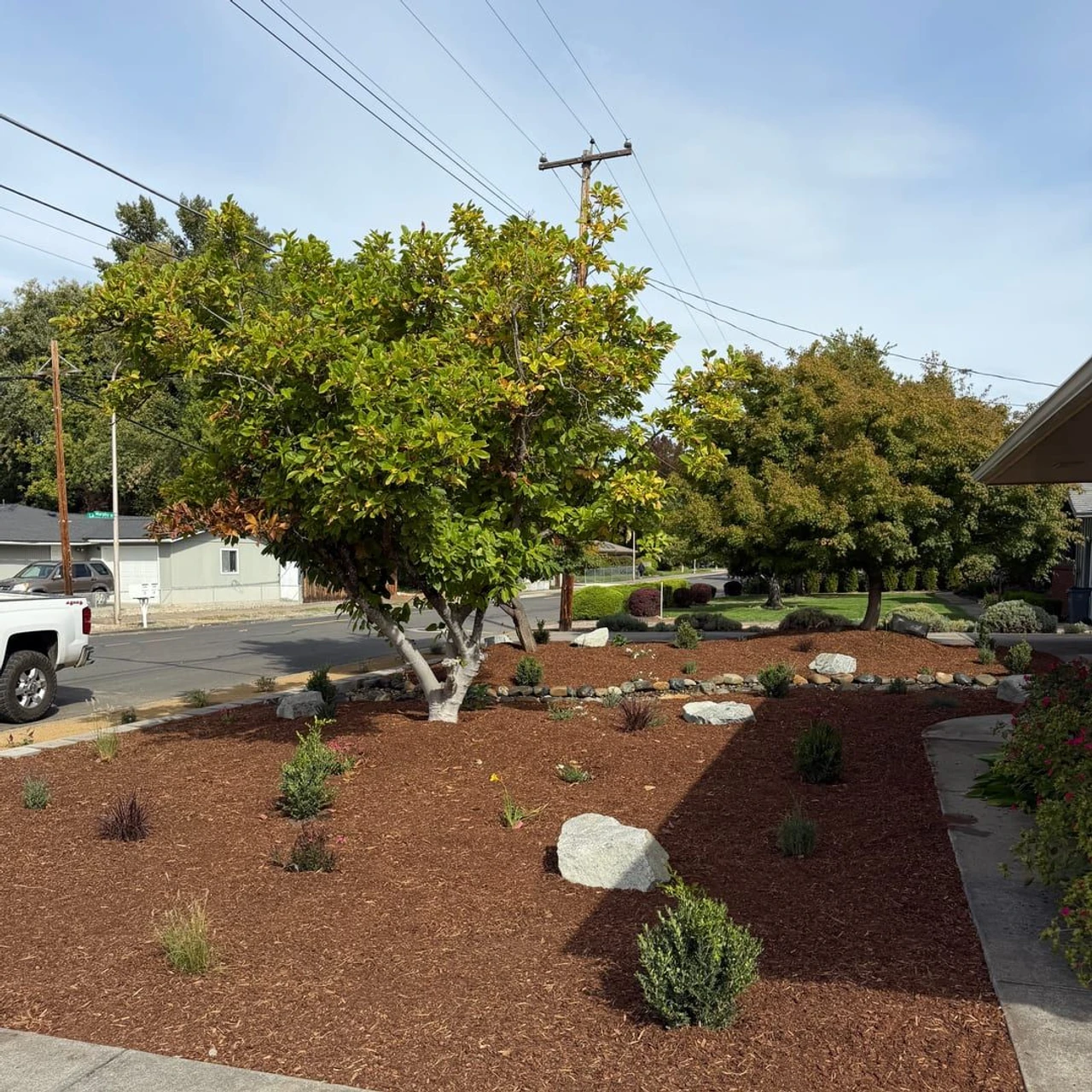 Front yard landscape with brown mulch, small shrubs, decorative rocks, and two large trees beside a concrete driveway and walkway, with a street, parked truck, houses, and overhead power lines in the background.