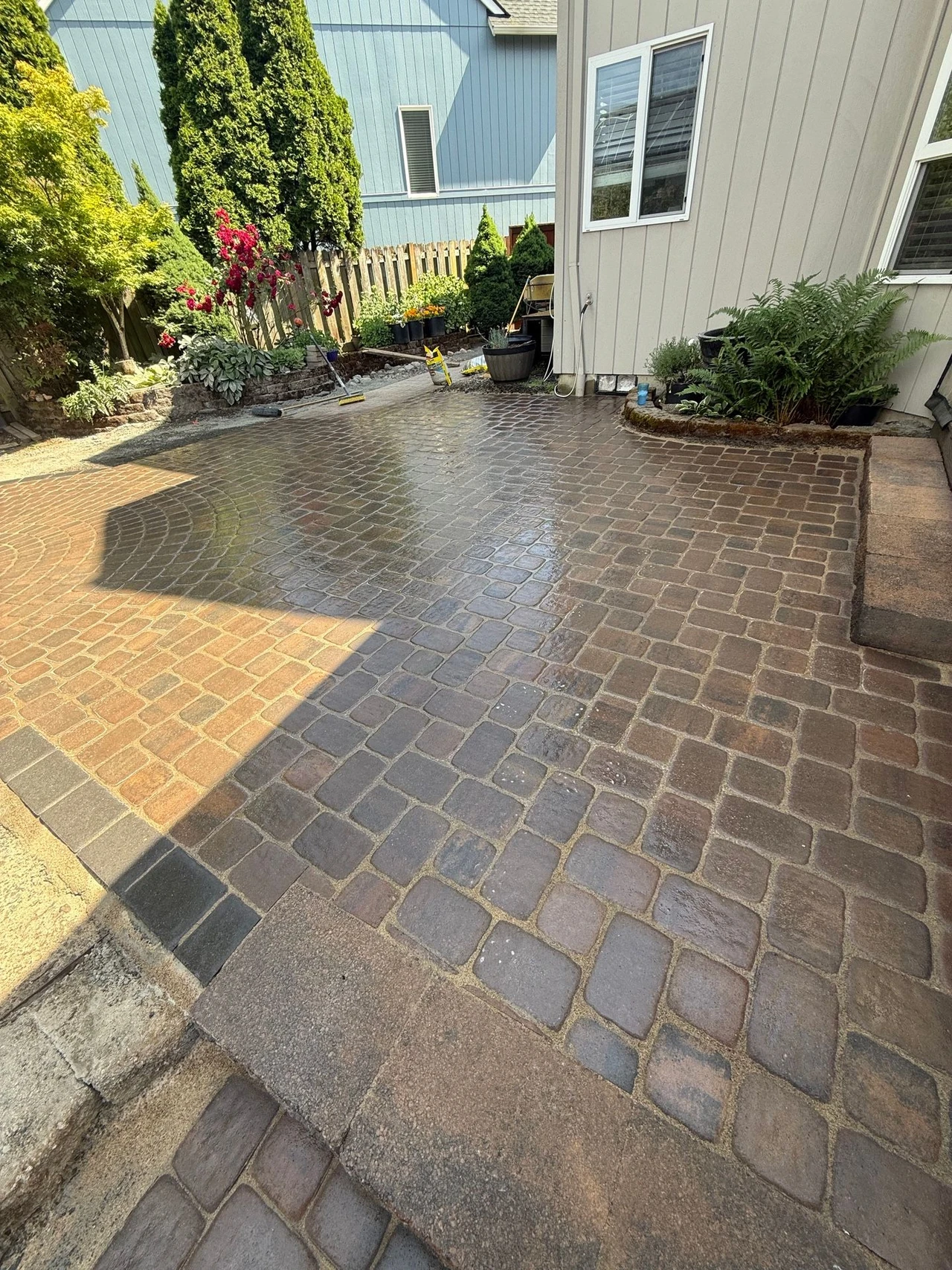 Paver patio with a house and 2 tall privacy trees in the back