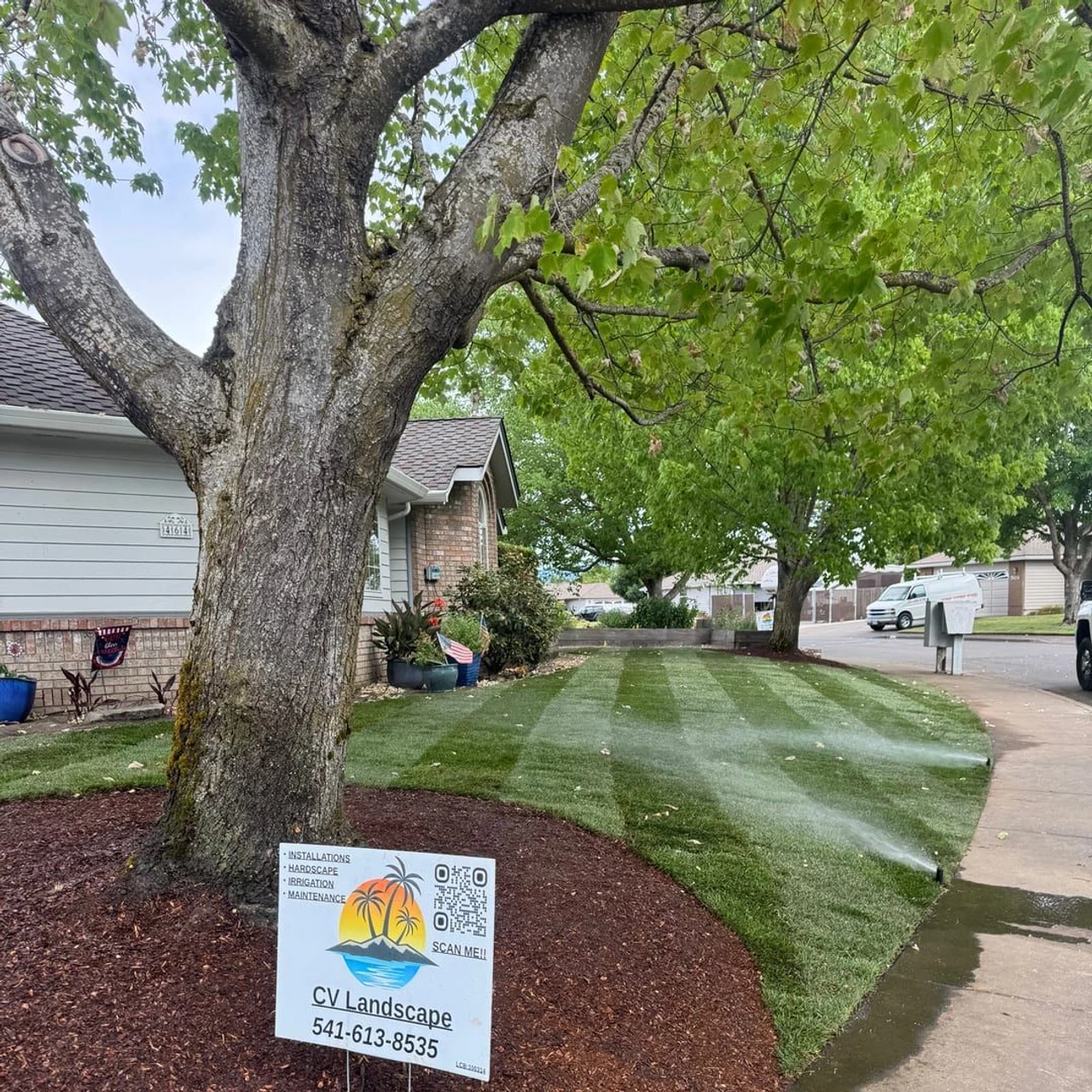 A large tree stands beside a house and sidewalk, with freshly striped green lawn being watered by sprinklers. A yard sign sits in a mulched bed in the foreground.
